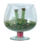 FB022 270X185 mm a 9€